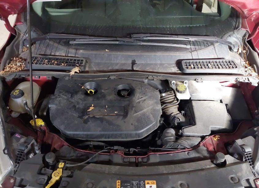 Photo 10 of 2017 Ford Escape SE (VIN 1FMCU0G90HUF10564)