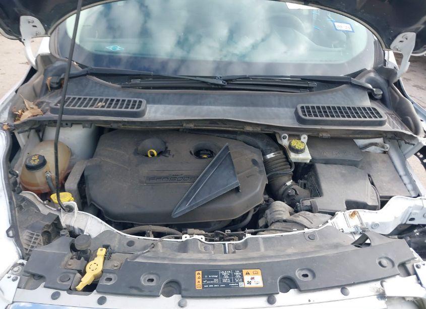 Photo 10 of 2018 Ford Escape SE (VIN 1FMCU0G90JUB49746)