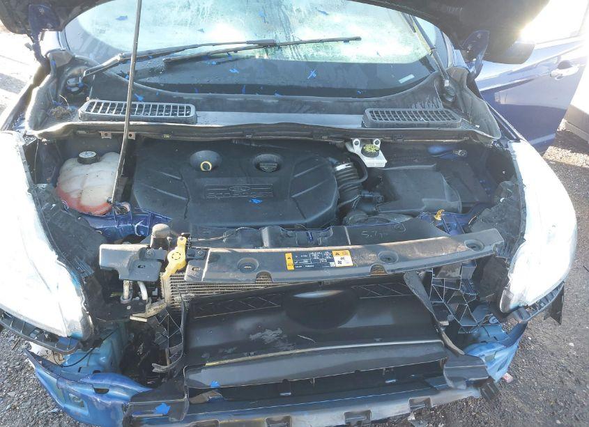 Photo 10 of 2013 Ford Escape SE (VIN 1FMCU0G91DUC43607)