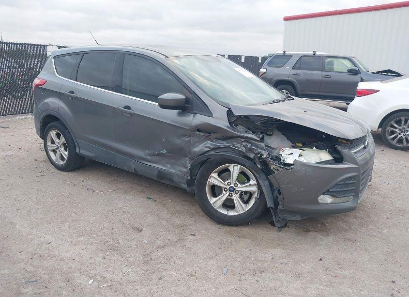 2014 Ford Escape SE (VIN 1FMCU0G91EUB02568) main photo