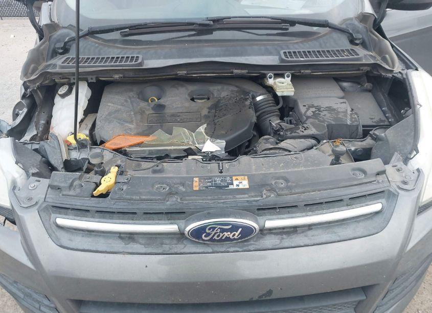 Photo 10 of 2014 Ford Escape SE (VIN 1FMCU0G91EUB02568)