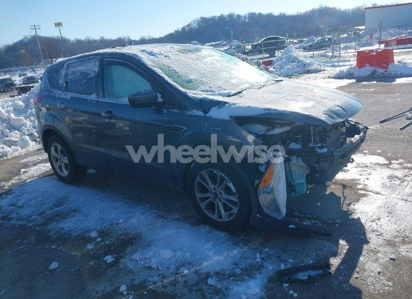 2014 Ford Escape SE (VIN 1FMCU0G91EUD08814) main photo