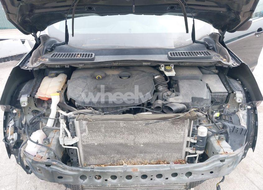 Photo 10 of 2014 Ford Escape SE (VIN 1FMCU0G91EUD42719)