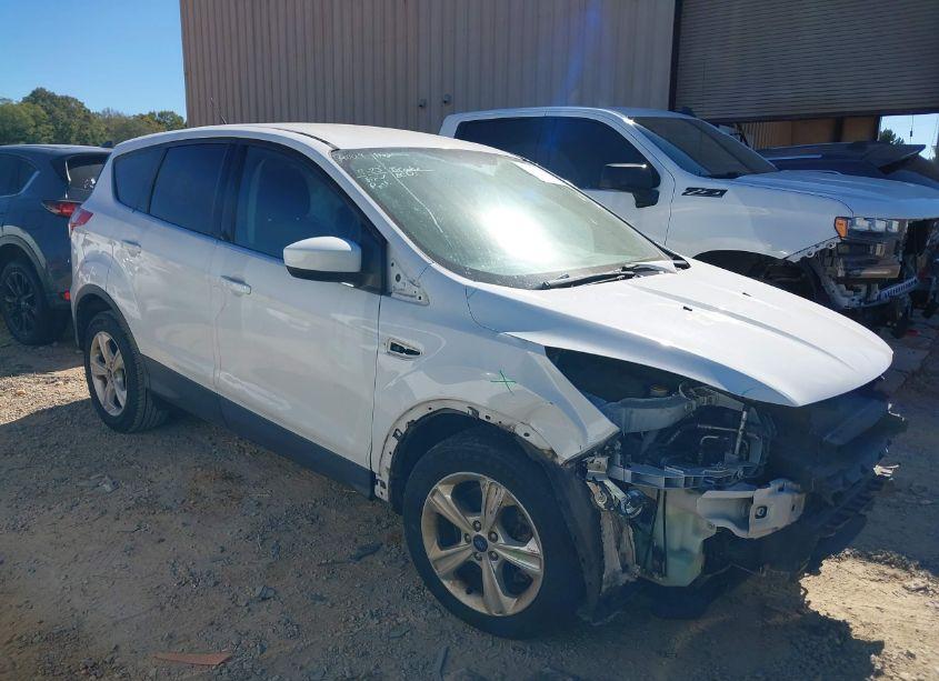 2014 Ford Escape SE (VIN 1FMCU0G91EUD45524) main photo