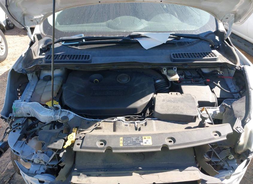 Photo 10 of 2014 Ford Escape SE (VIN 1FMCU0G91EUD45524)