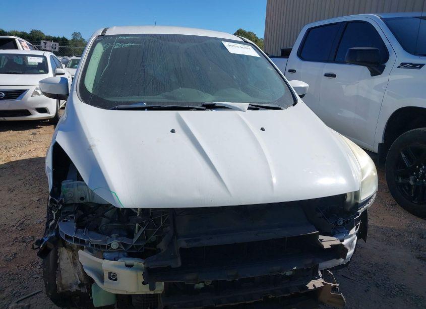 Photo 13 of 2014 Ford Escape SE (VIN 1FMCU0G91EUD45524)