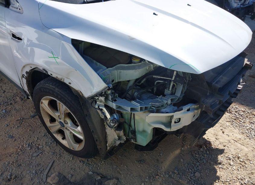 Photo 6 of 2014 Ford Escape SE (VIN 1FMCU0G91EUD45524)