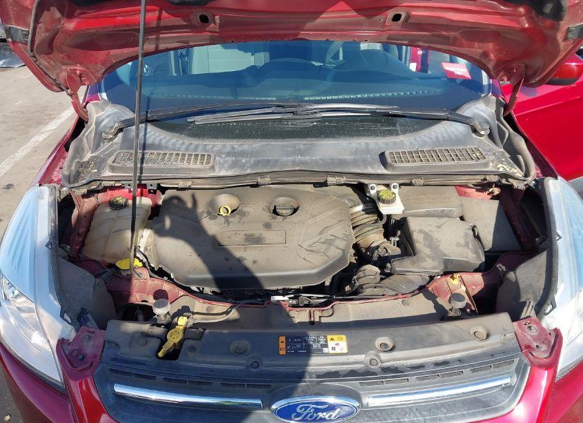 Photo 10 of 2014 Ford Escape SE (VIN 1FMCU0G91EUD66129)