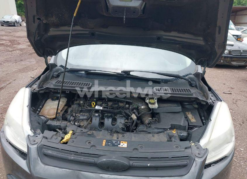 Photo 10 of 2015 Ford Escape SE (VIN 1FMCU0G91FUA80430)