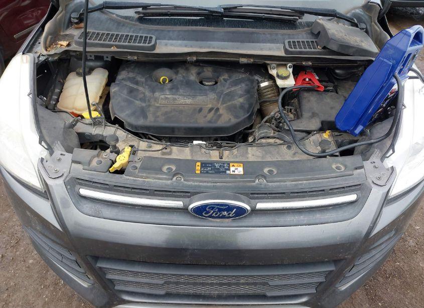 Photo 10 of 2015 Ford Escape SE (VIN 1FMCU0G91FUB88630)