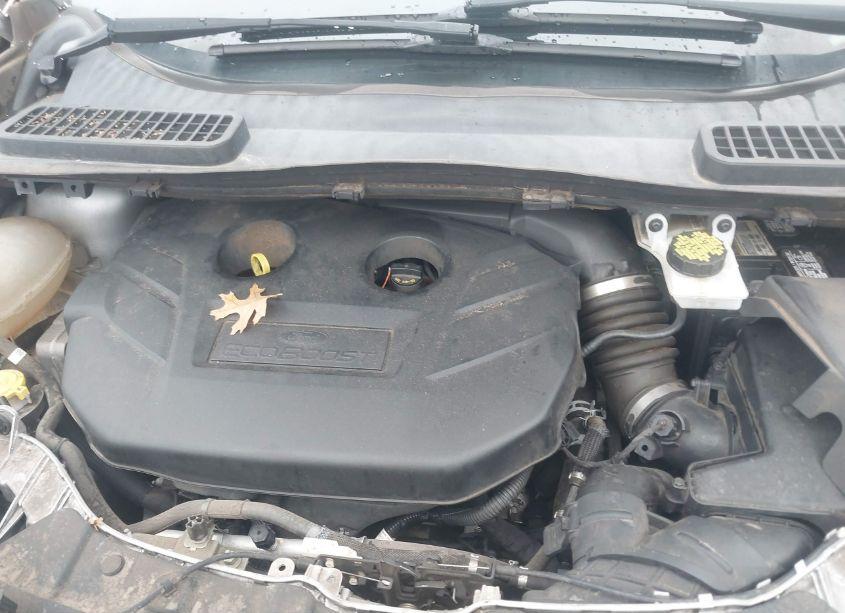 Photo 10 of 2017 Ford Escape SE (VIN 1FMCU0G91HUC97320)