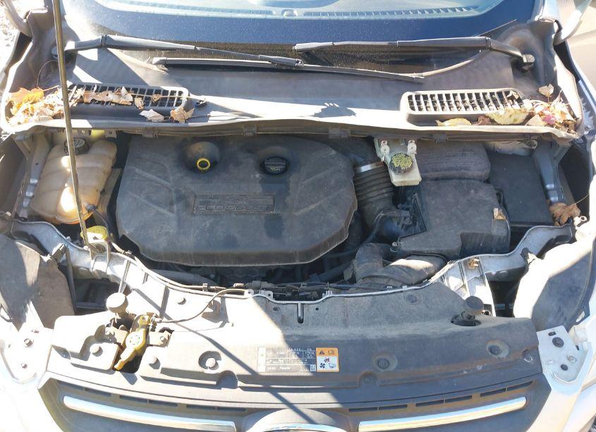 Photo 10 of 2013 Ford Escape SE (VIN 1FMCU0G92DUC98986)