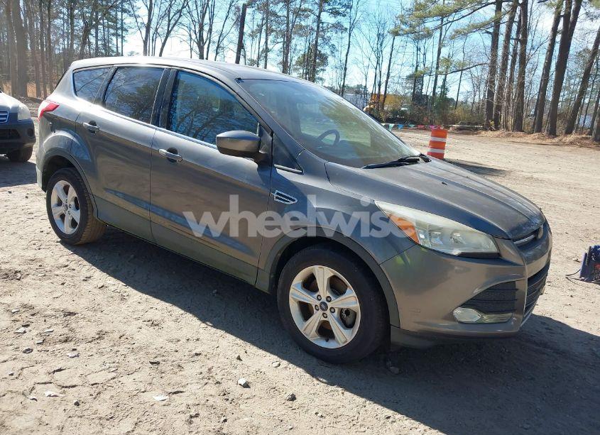 2014 Ford Escape SE (VIN 1FMCU0G92EUA06190) main photo