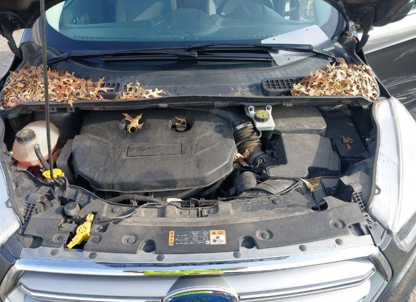 Photo 10 of 2017 Ford Escape SE (VIN 1FMCU0G92HUC52872)