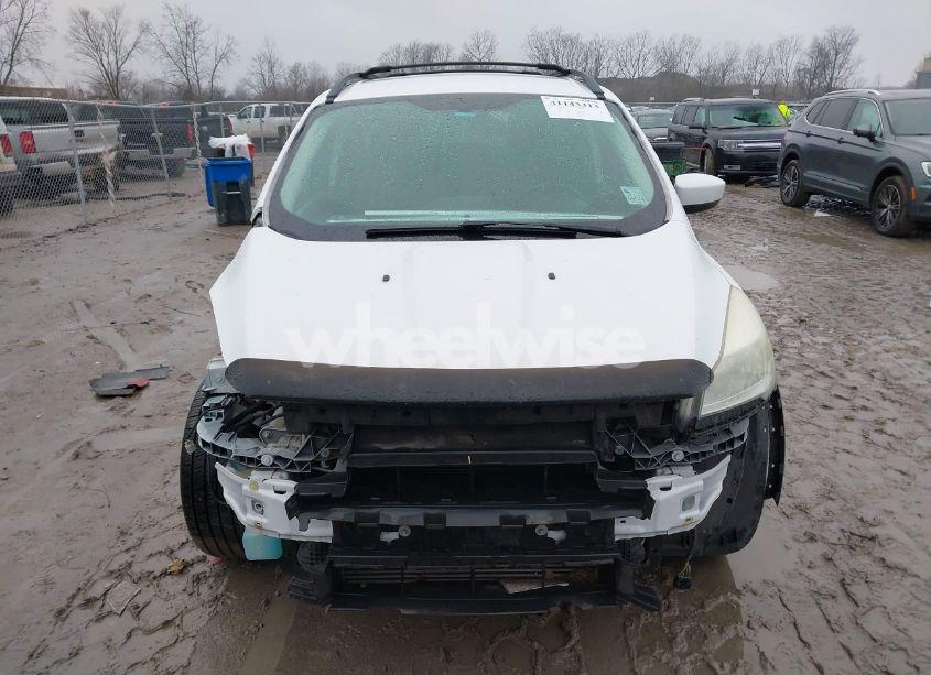 Photo 13 of 2013 Ford Escape SE (VIN 1FMCU0G93DUC01584)