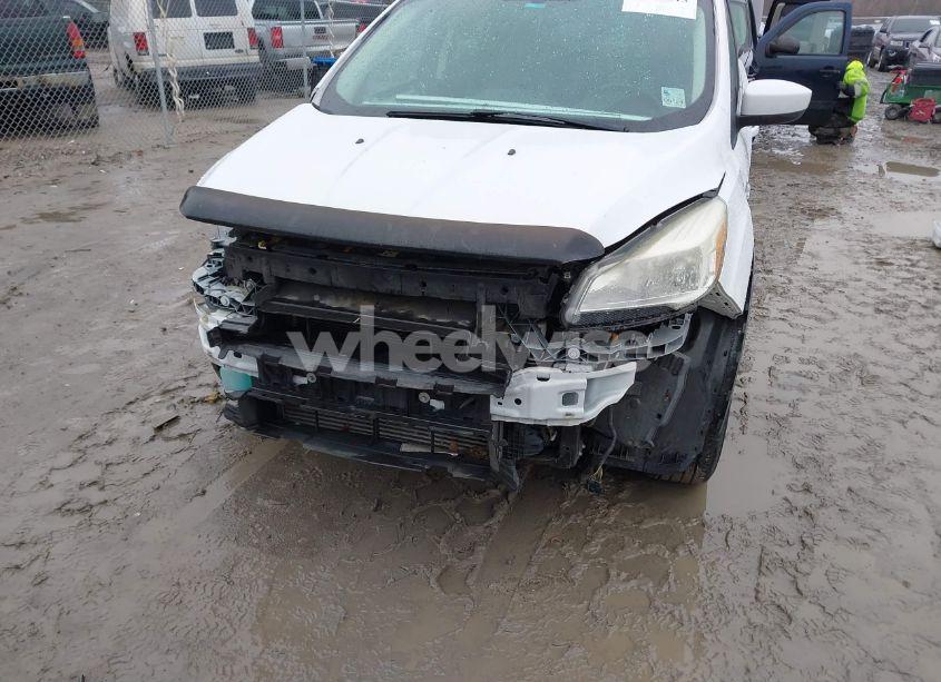 Photo 6 of 2013 Ford Escape SE (VIN 1FMCU0G93DUC01584)