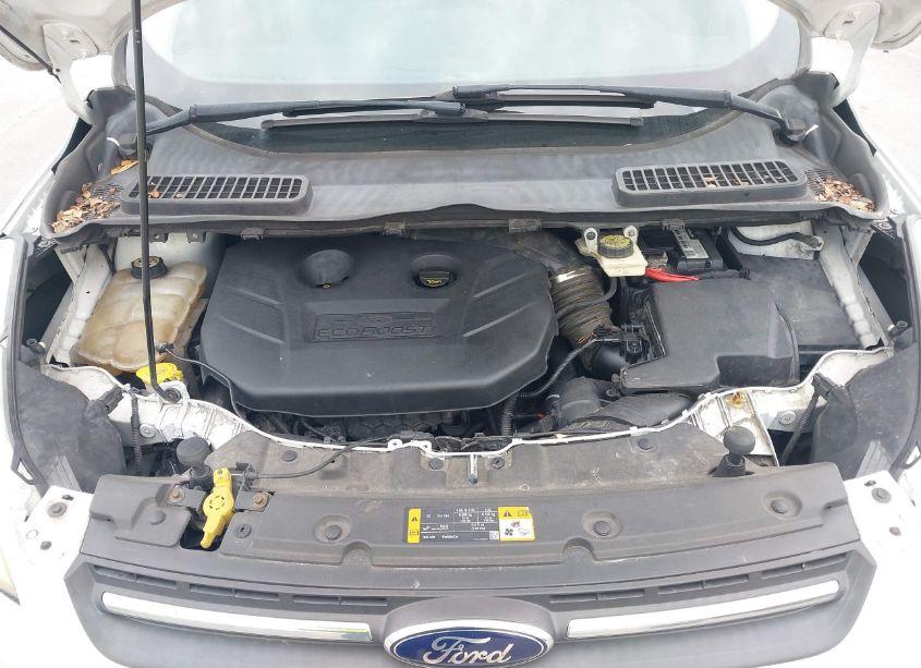 Photo 10 of 2013 Ford Escape SE (VIN 1FMCU0G93DUD64574)