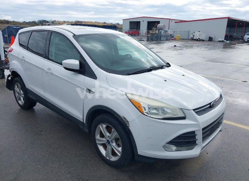 2014 Ford Escape SE (VIN 1FMCU0G93EUA85403) main photo