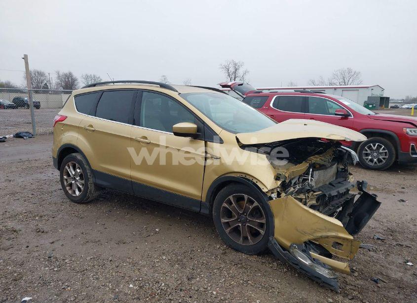 2014 Ford Escape SE (VIN 1FMCU0G93EUE53482) main photo