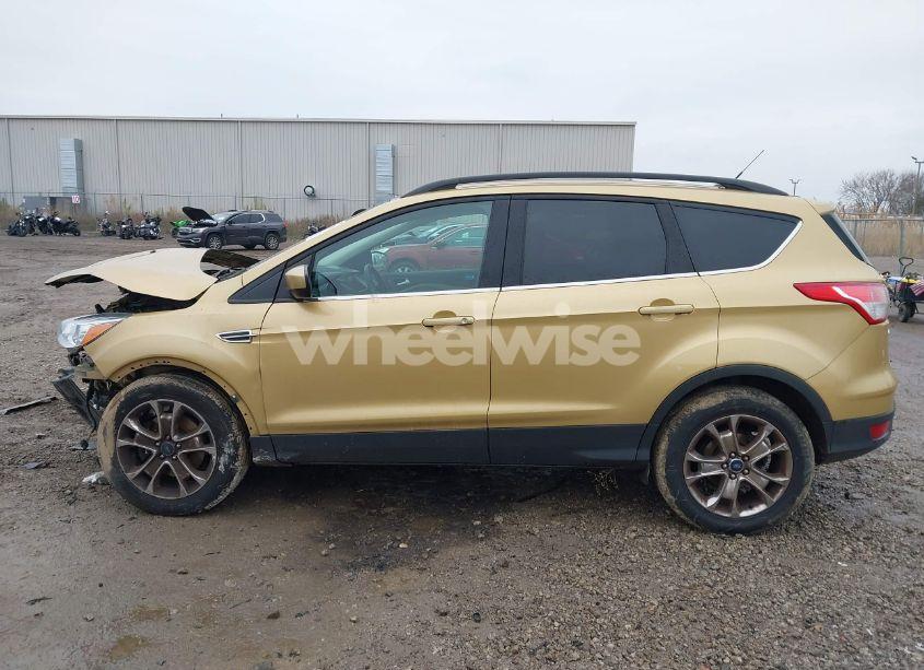 Photo 14 of 2014 Ford Escape SE (VIN 1FMCU0G93EUE53482)