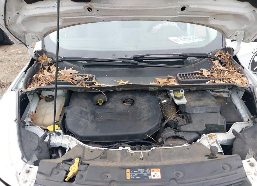 Photo 10 of 2015 Ford Escape SE (VIN 1FMCU0G93FUA14588)