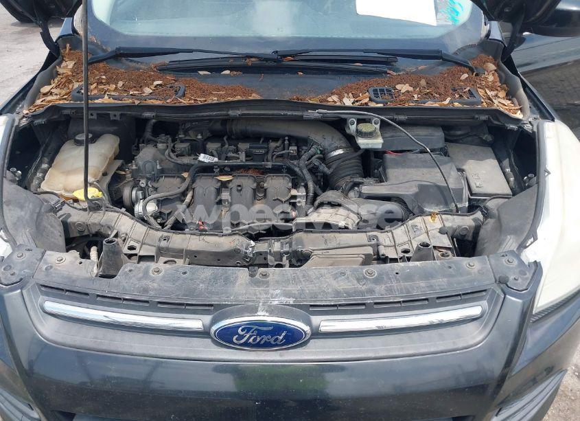 Photo 10 of 2013 Ford Escape SE (VIN 1FMCU0G94DUB90448)