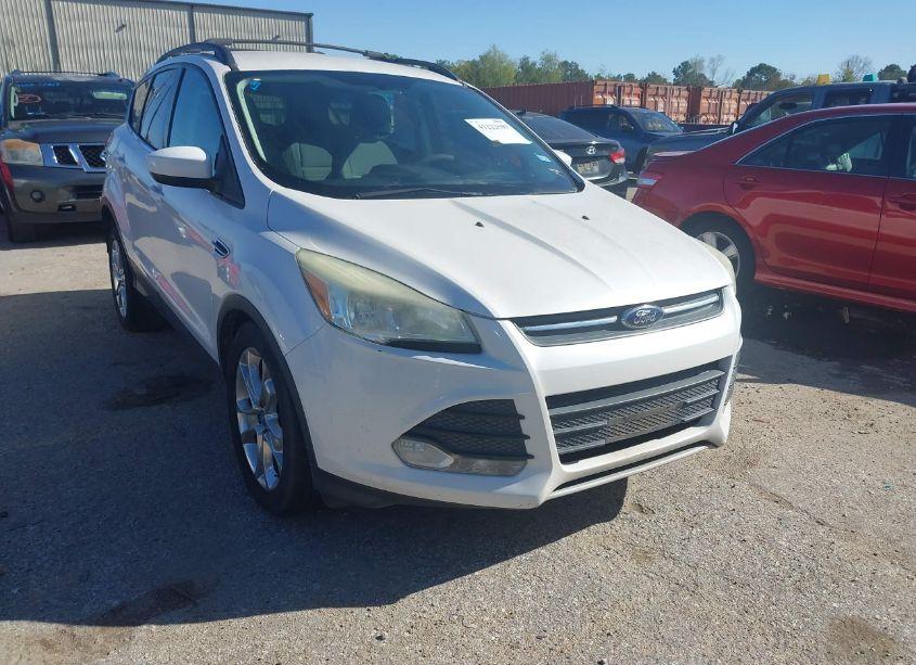 2013 Ford Escape SE (VIN 1FMCU0G94DUC34464) main photo