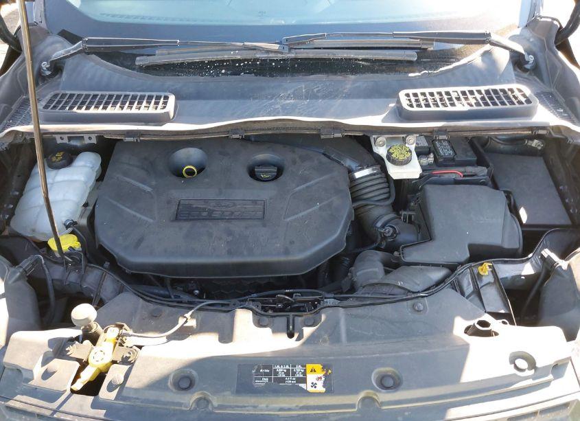 Photo 10 of 2014 Ford Escape SE (VIN 1FMCU0G94EUA38879)