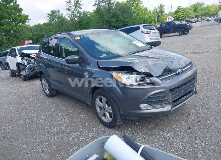 2014 Ford Escape SE (VIN 1FMCU0G94EUB14648) main photo