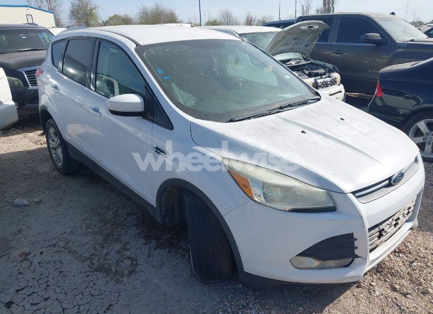 2014 Ford Escape SE (VIN 1FMCU0G94EUD32623) main photo