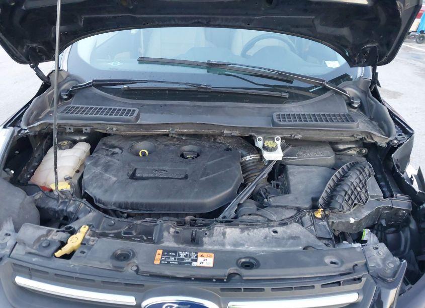 Photo 10 of 2016 Ford Escape SE (VIN 1FMCU0G94GUA97630)