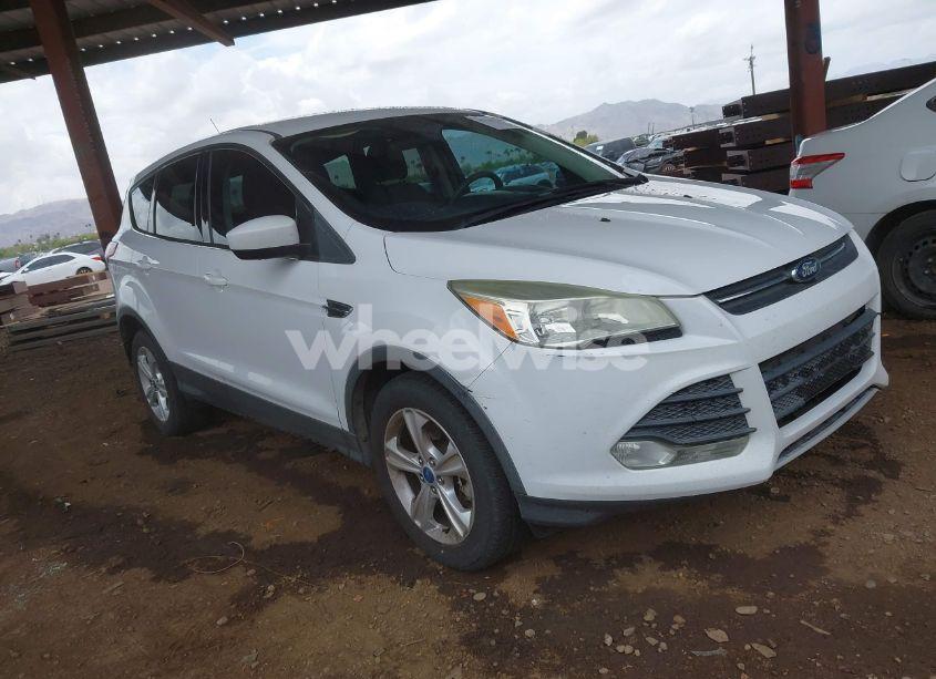 2013 Ford Escape SE (VIN 1FMCU0G95DUD02318) main photo