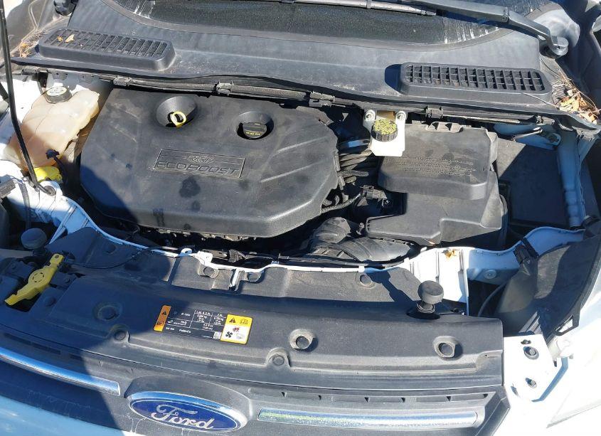 Photo 10 of 2013 Ford Escape SE (VIN 1FMCU0G95DUD78783)