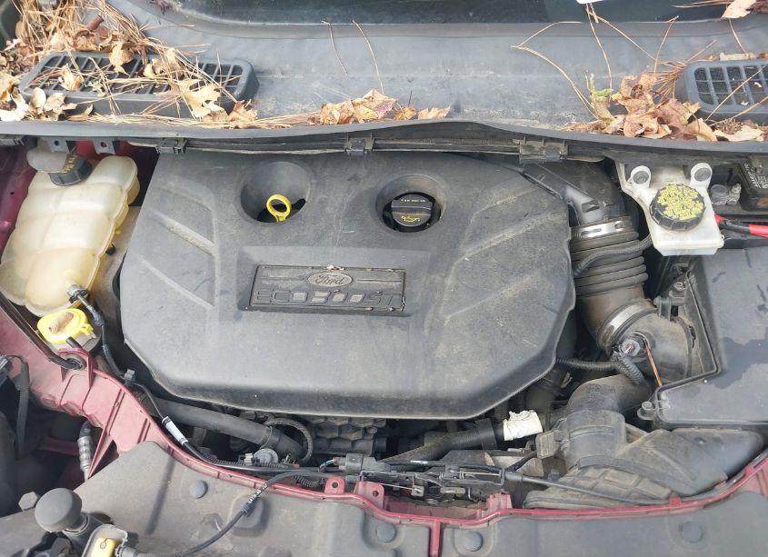 Photo 10 of 2014 Ford Escape SE (VIN 1FMCU0G95EUB22094)