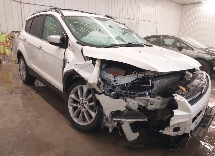 2014 Ford Escape SE (VIN 1FMCU0G95EUD16494) main photo