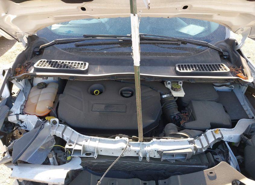 Photo 10 of 2014 Ford Escape SE (VIN 1FMCU0G95EUD16494)