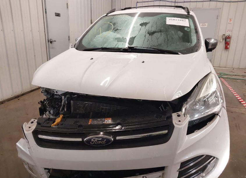 Photo 12 of 2014 Ford Escape SE (VIN 1FMCU0G95EUD16494)
