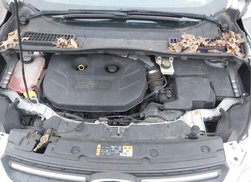 Photo 10 of 2013 Ford Escape SE (VIN 1FMCU0G96DUA80551)