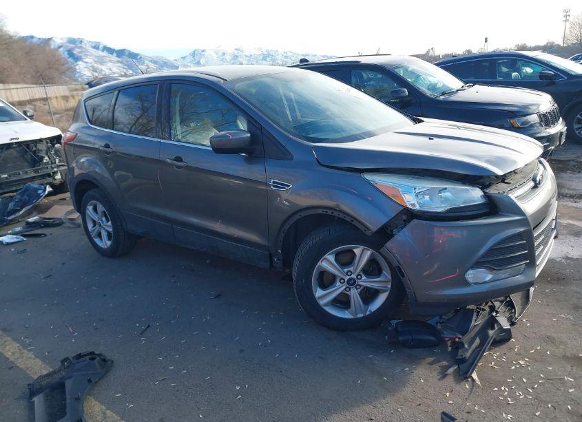 2013 Ford Escape SE (VIN 1FMCU0G96DUA95034) main photo