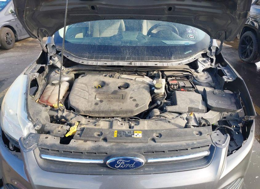 Photo 10 of 2013 Ford Escape SE (VIN 1FMCU0G96DUA95034)