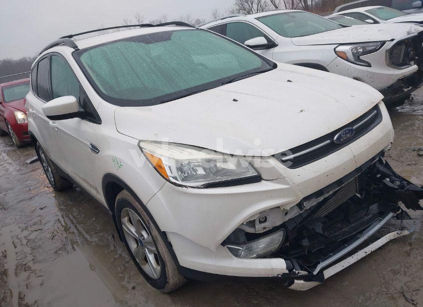 2013 Ford Escape SE (VIN 1FMCU0G96DUD08614) main photo