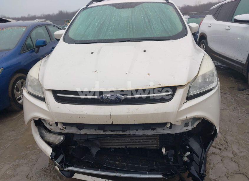 Photo 12 of 2013 Ford Escape SE (VIN 1FMCU0G96DUD08614)