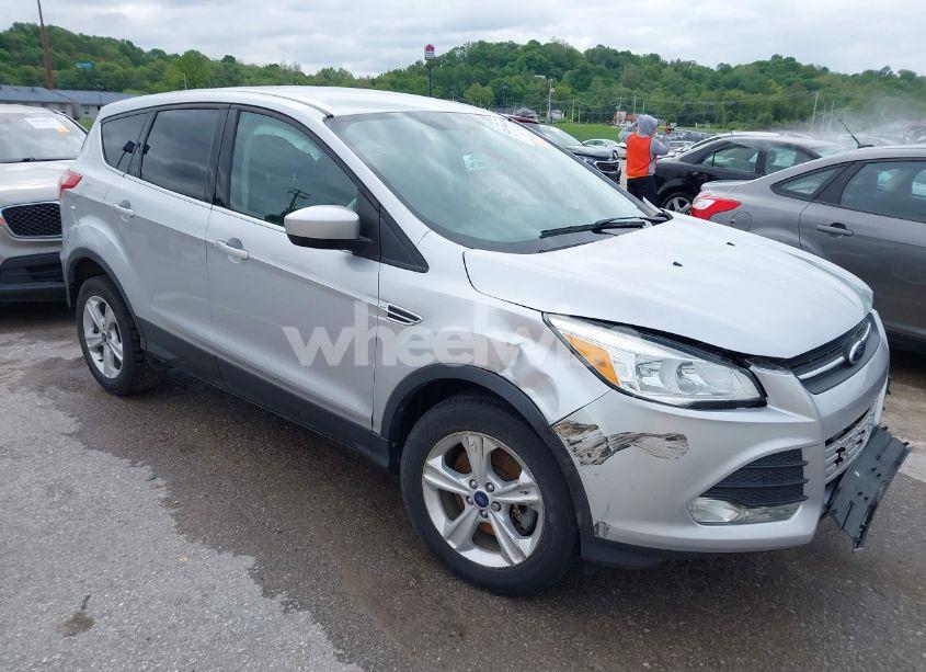 2014 Ford Escape SE (VIN 1FMCU0G96EUA46479) main photo