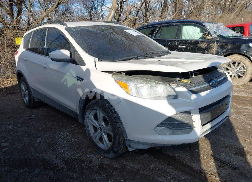 2014 Ford Escape SE (VIN 1FMCU0G96EUB43360) main photo