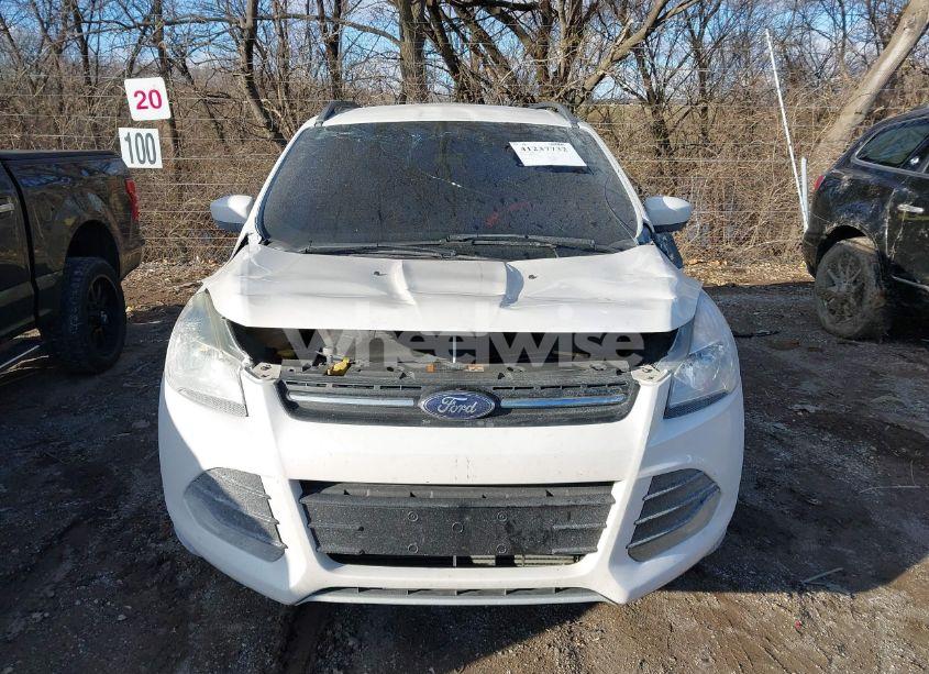 Photo 12 of 2014 Ford Escape SE (VIN 1FMCU0G96EUB43360)