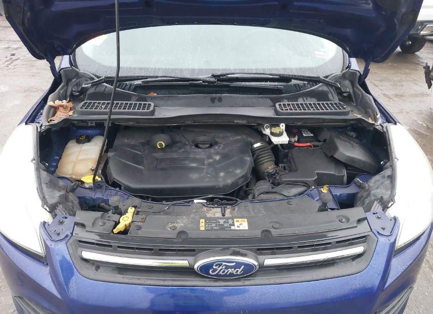 Photo 10 of 2014 Ford Escape SE (VIN 1FMCU0G96EUD73240)