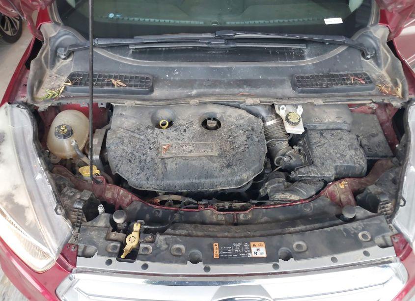 Photo 10 of 2019 Ford Escape SE (VIN 1FMCU0G96KUB12170)