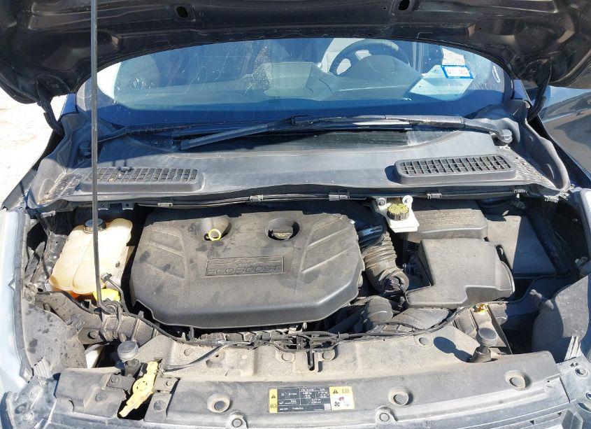 Photo 10 of 2014 Ford Escape SE (VIN 1FMCU0G97EUA52470)