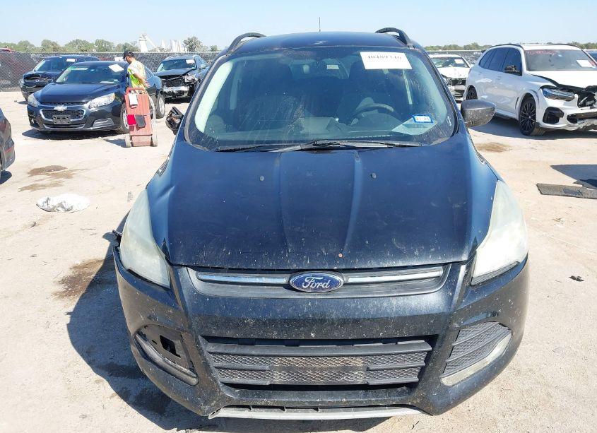 Photo 12 of 2014 Ford Escape SE (VIN 1FMCU0G97EUA52470)