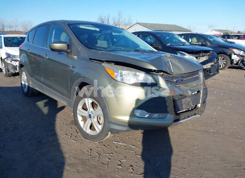 2014 Ford Escape SE (VIN 1FMCU0G97EUA53926) main photo